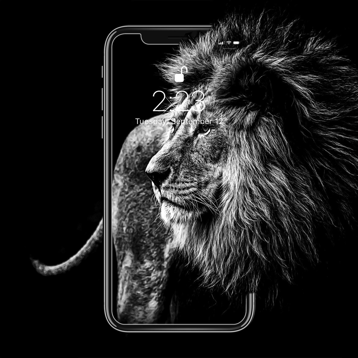 Lion Wallpaper Black And White Handy Hintergrund Hd Wallpaper Backgrounds Download