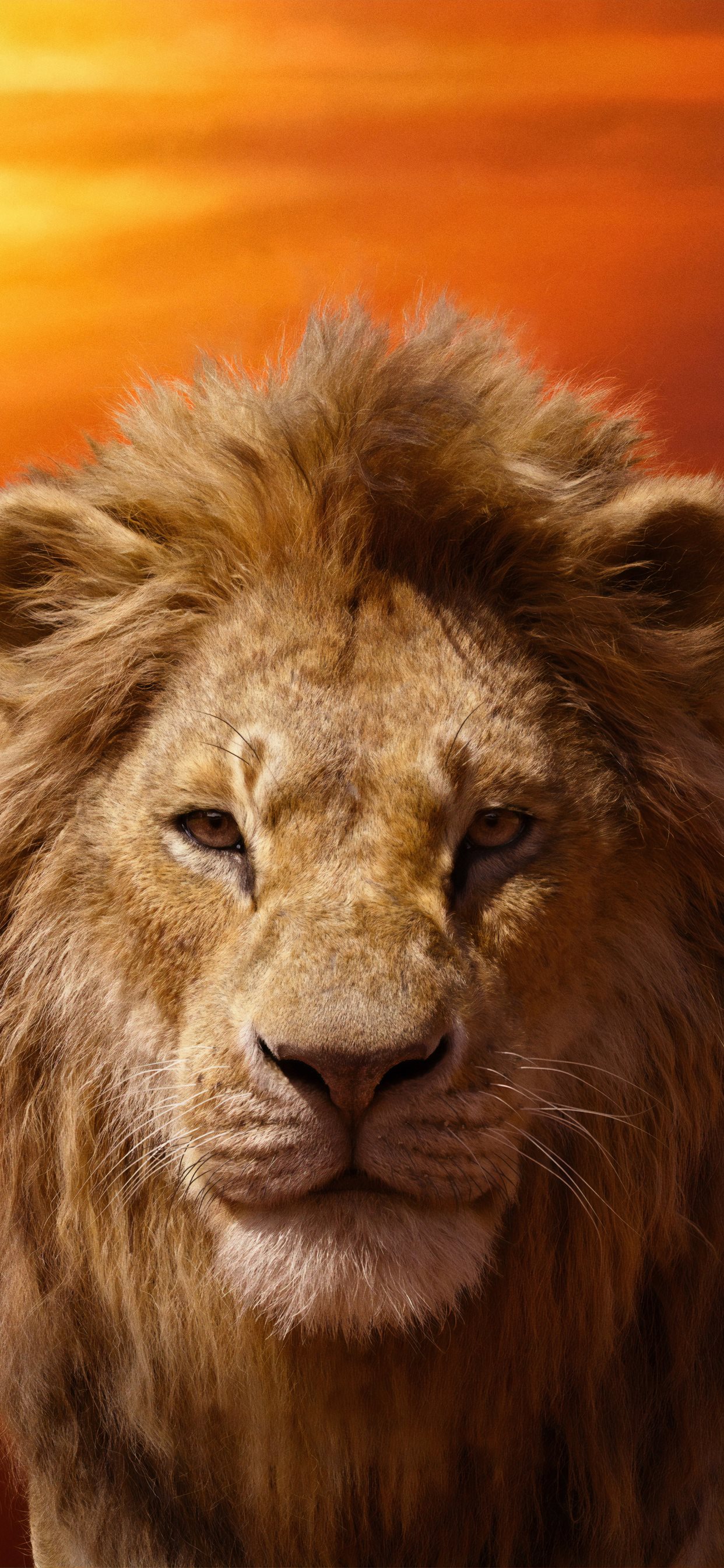 Lion King 2019 Simba , HD Wallpaper & Backgrounds