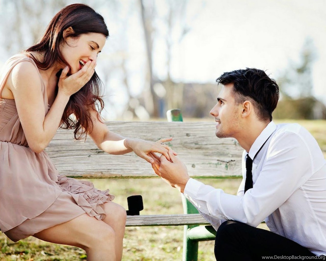 Happy Propose Day 2016 Wallpapers, Images And Pictures - Happy Propose Day Full Scerrn Hd , HD Wallpaper & Backgrounds