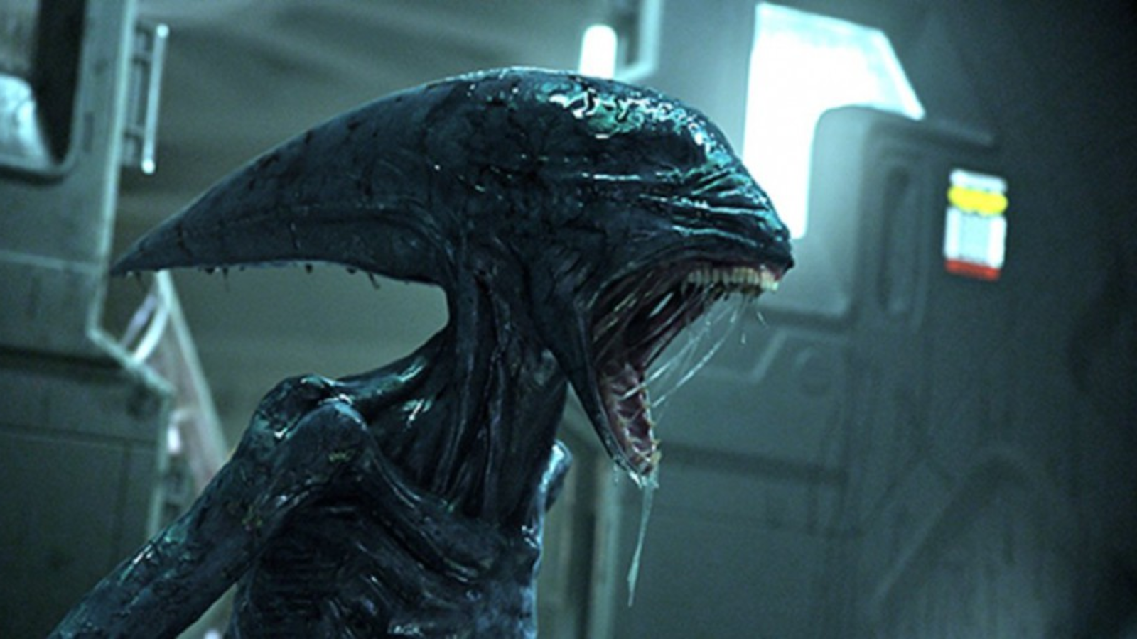 20th Century Fox - Alien In Prometheus , HD Wallpaper & Backgrounds