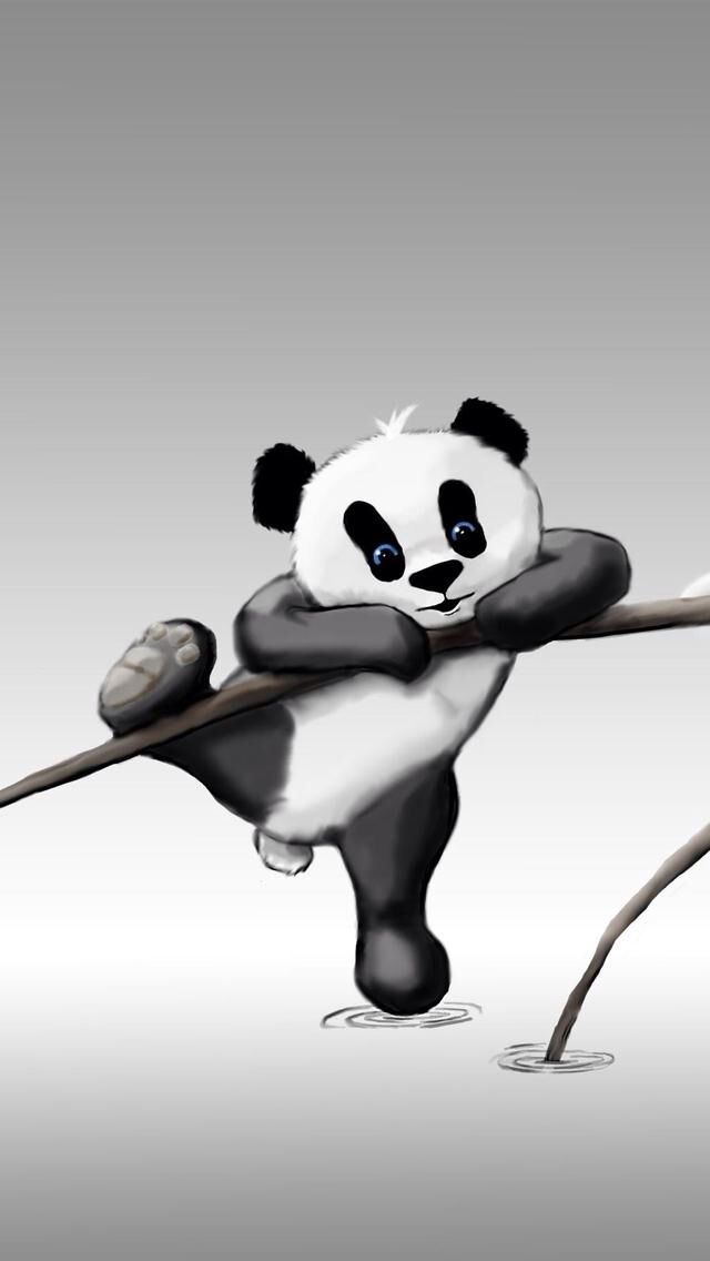 Cute Panda - Cute Panda Wallpapers Iphone , HD Wallpaper & Backgrounds