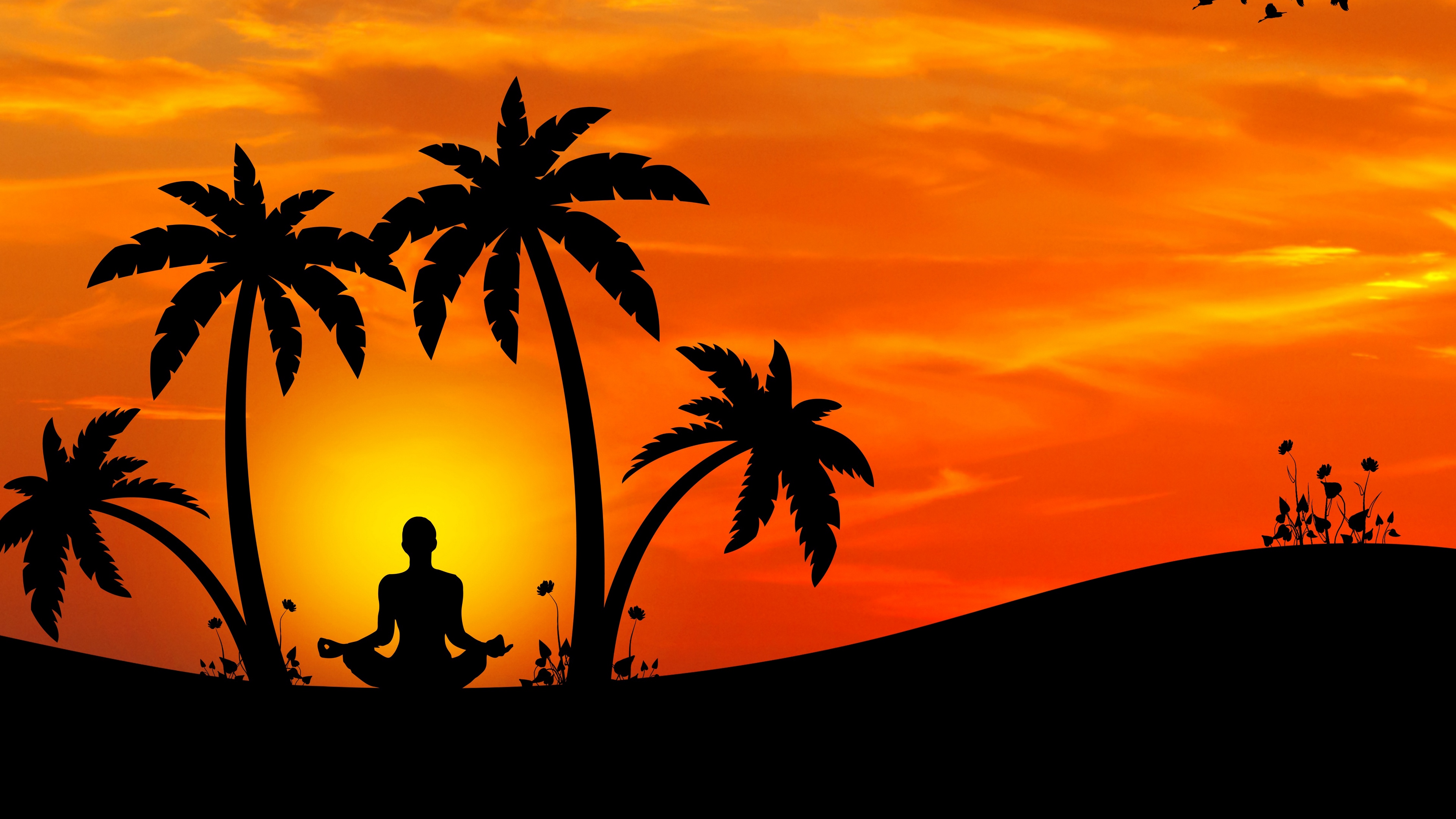 Wallpaper Meditation, Yoga, Silhouette, Palm Trees, - Coconut Tree Silhouette Png , HD Wallpaper & Backgrounds