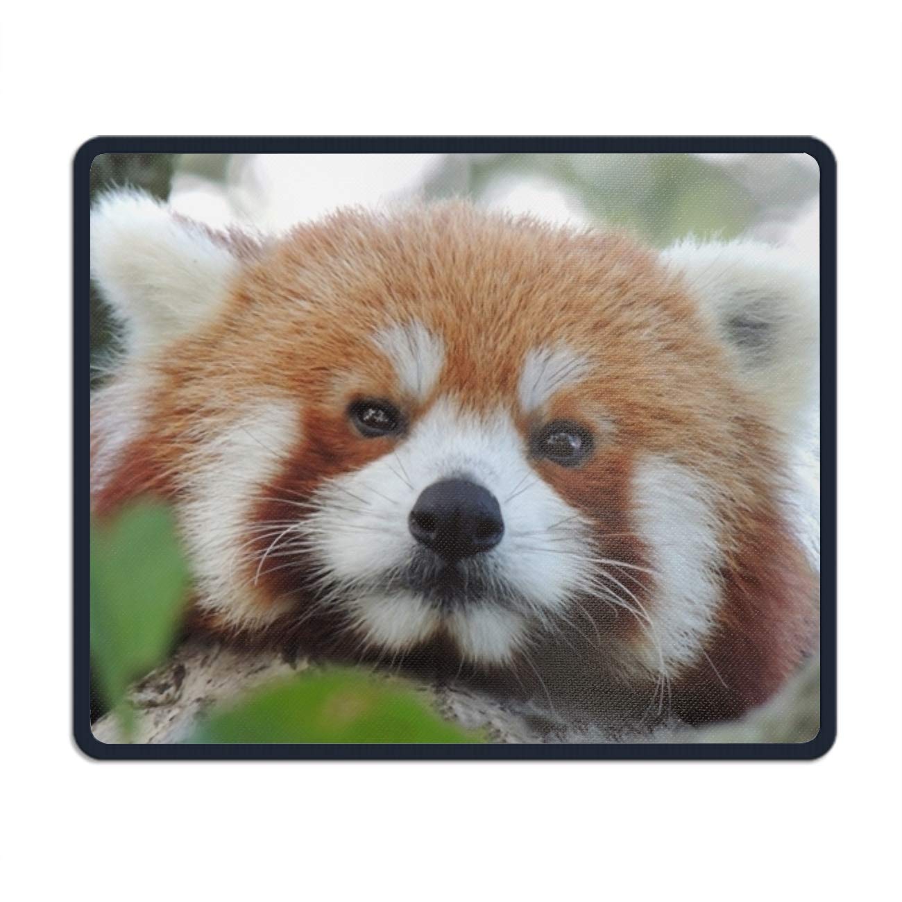 Free Red Panda Wallpaper Mousepad Rectangle Non-slip - Red Panda Free , HD Wallpaper & Backgrounds