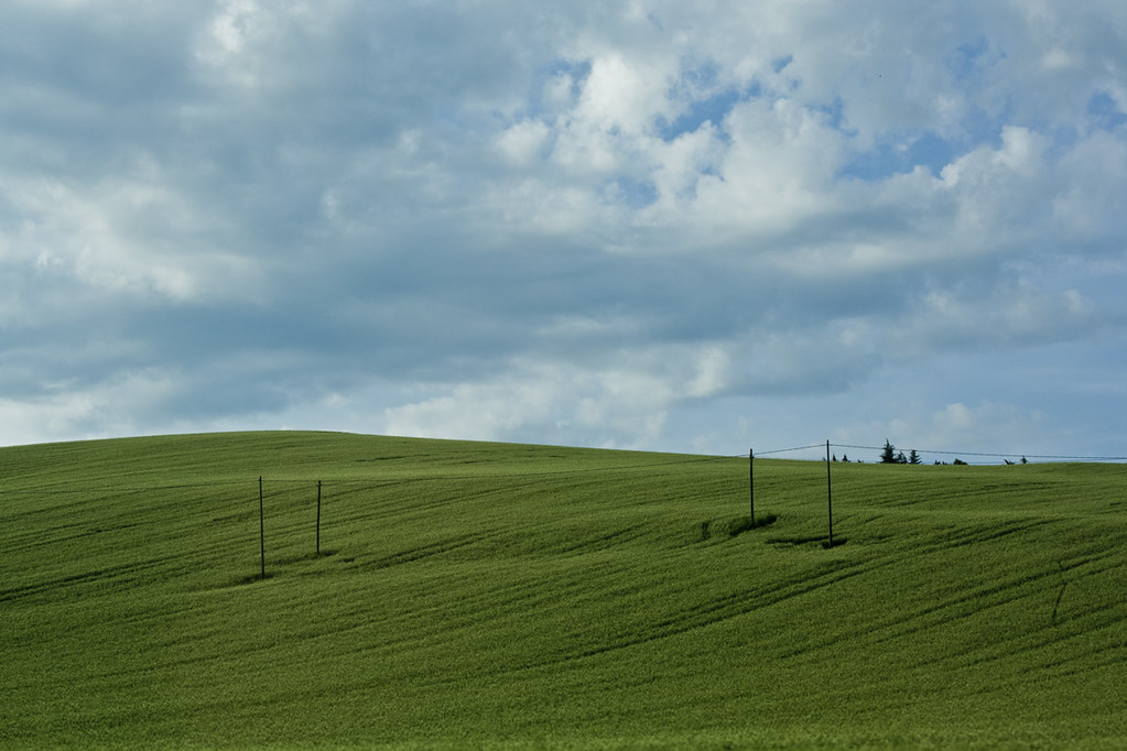 Wallpaper Windows 95 Xd - Field , HD Wallpaper & Backgrounds