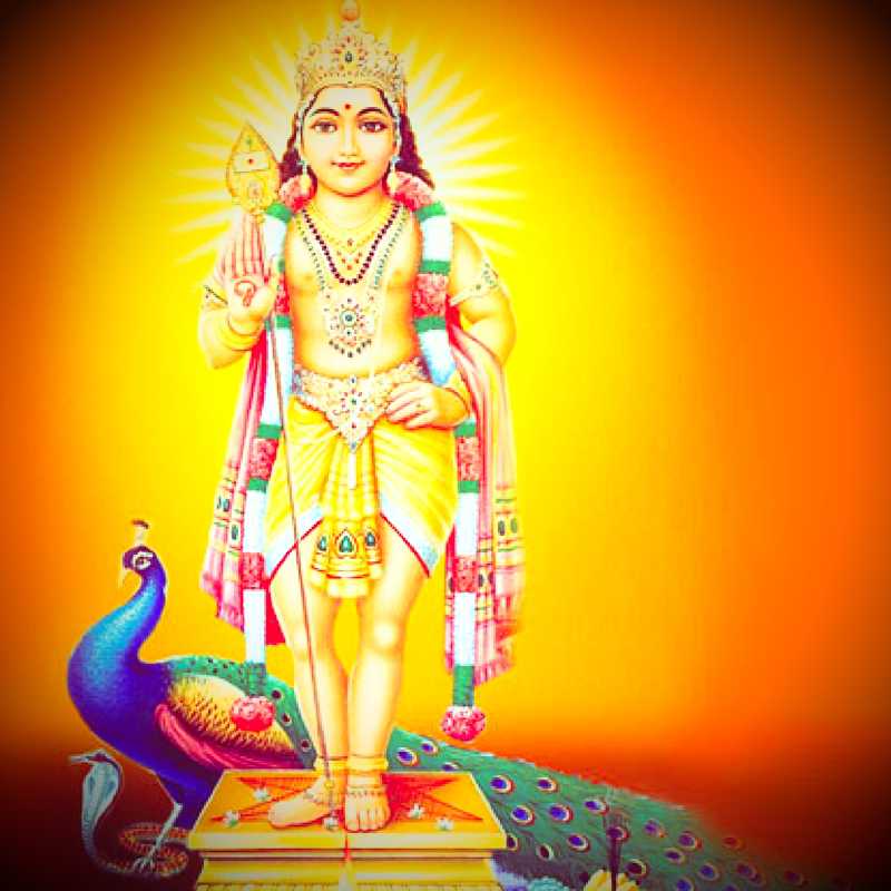 158 Lord Murugan Images Free Download For Mobile & - God Murugan , HD Wallpaper & Backgrounds