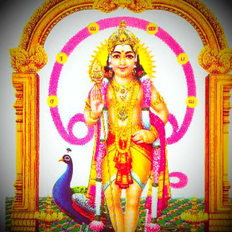 Murugan Wallpaper - Murugan Images In Png , HD Wallpaper & Backgrounds