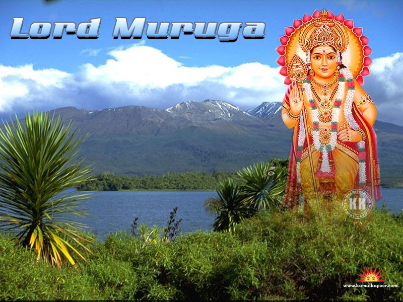 God Murugan Wallpaper - Lord Murugan , HD Wallpaper & Backgrounds