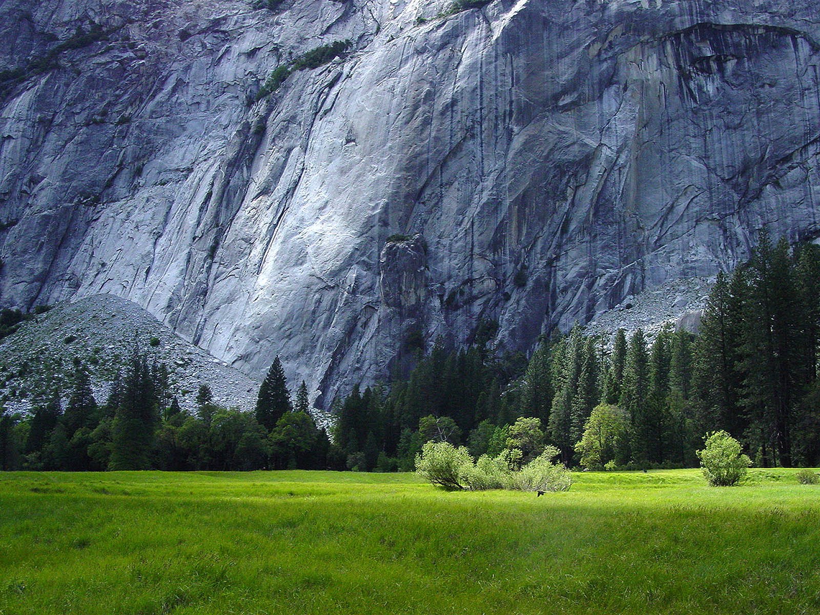 Hd Wallpaper - Yosemite National Park , HD Wallpaper & Backgrounds