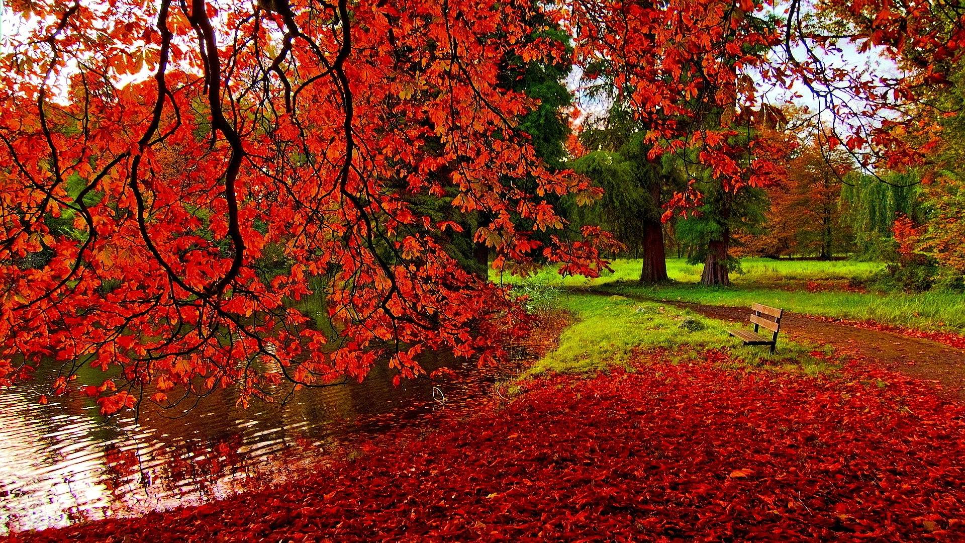 Park Autumn Wallpaper - Autumn Wallpaper Full Hd , HD Wallpaper & Backgrounds