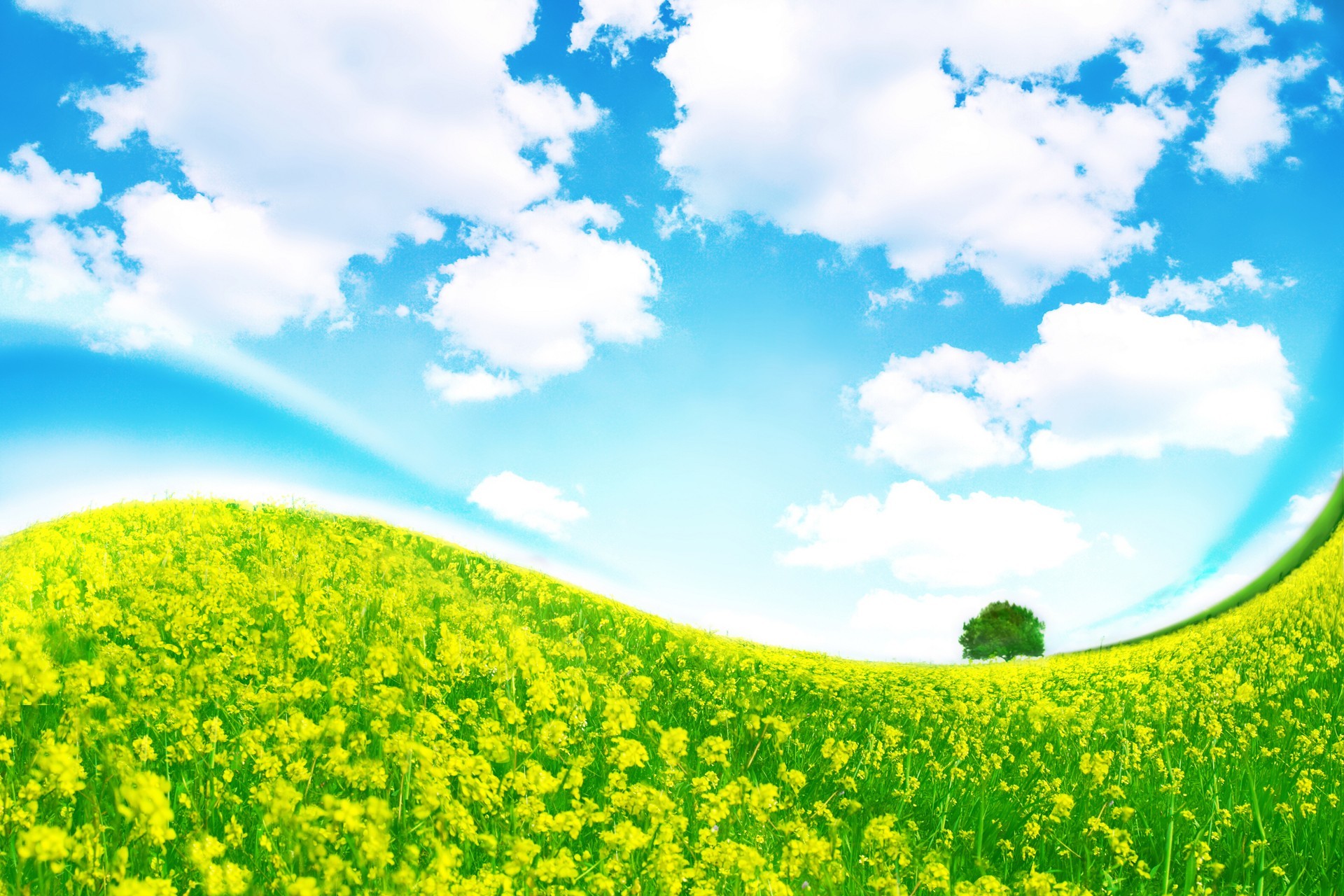 Sky Grass Background Wallpaper - Nature Background For Powerpoint , HD Wallpaper & Backgrounds