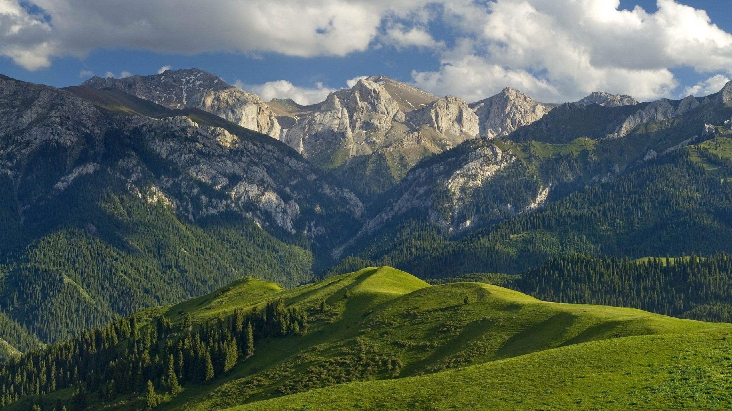 Mountain Forest Wallpaper Hd - Mountains Aren T Just Funny They Are Hill Areas , HD Wallpaper & Backgrounds