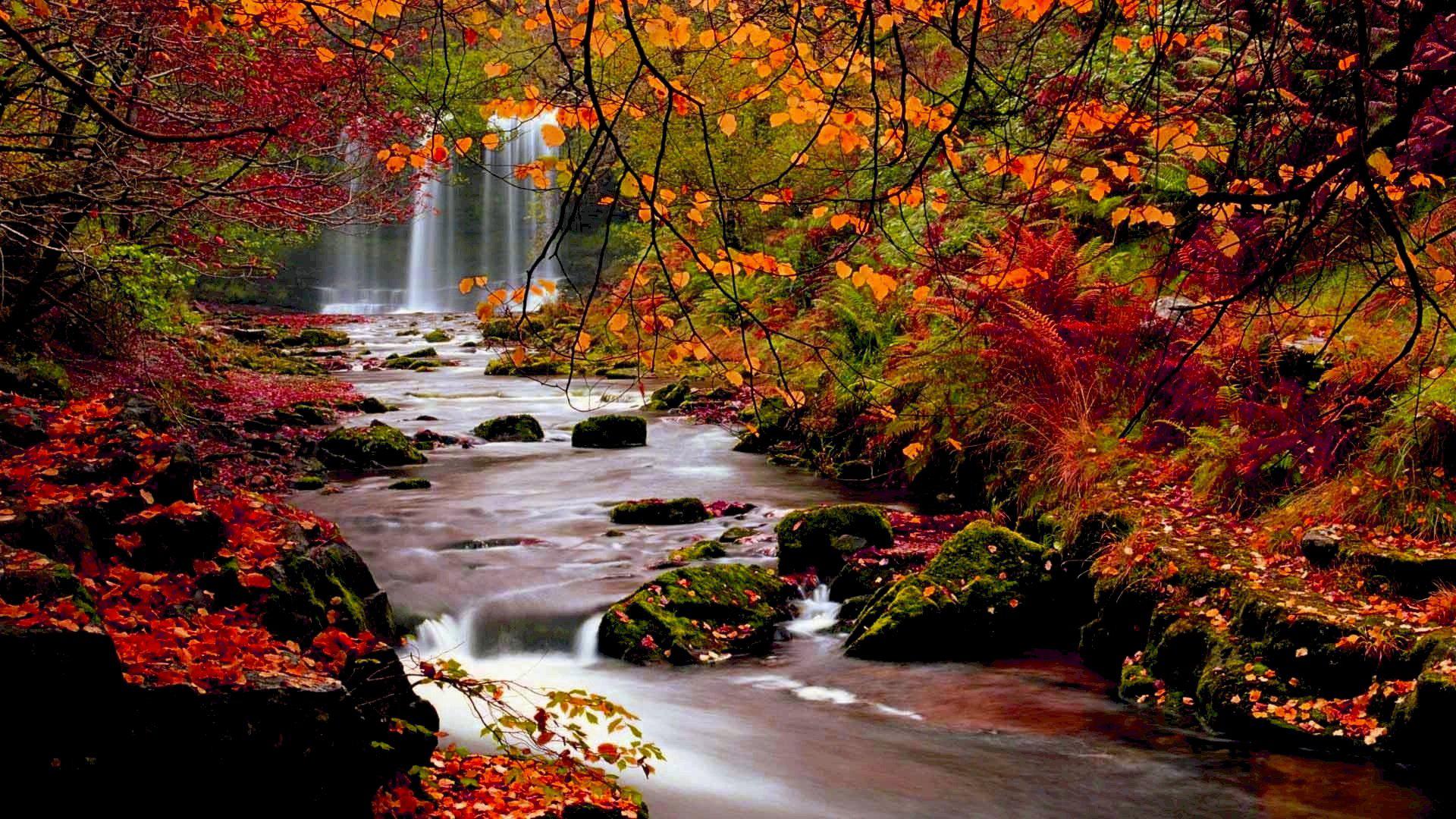 Fall Wallpapers - Paysage Automne Fond D Écran , HD Wallpaper & Backgrounds