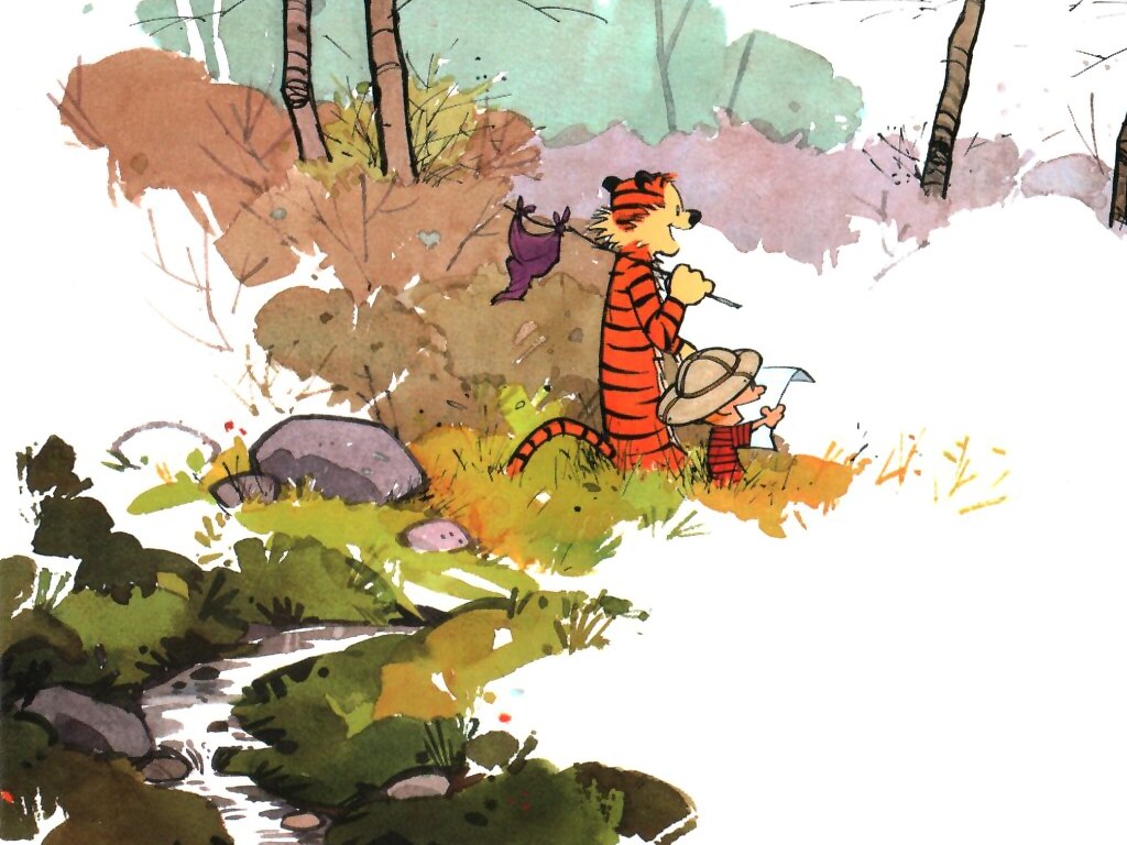 Calvin Und Hobbes Wallpaper - Calvin And Hobbes , HD Wallpaper & Backgrounds