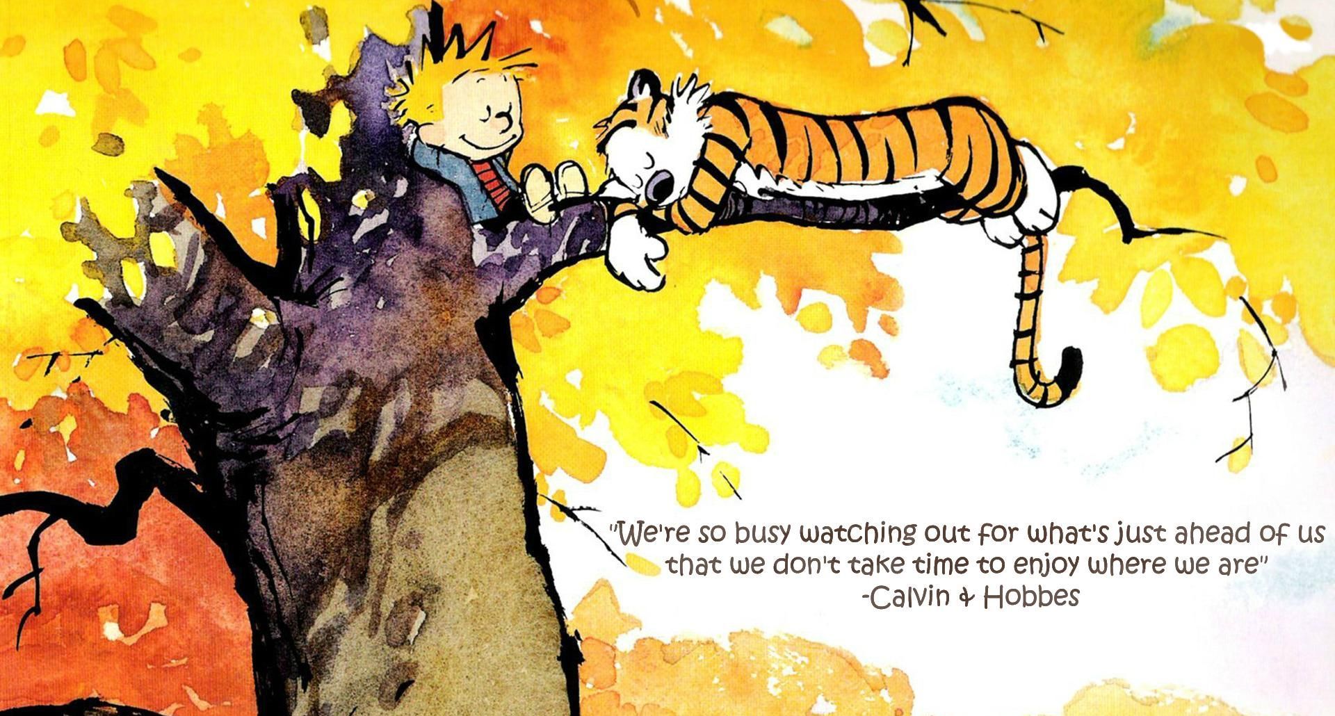 1920 X 1080 Px Widescreen Calvin And Hobbes - Calvin And Hobbes Mindfulness , HD Wallpaper & Backgrounds