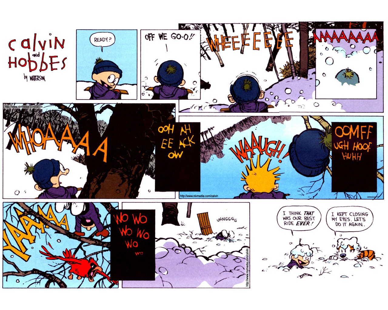 Desktop Wallpaper For Calvin And Hobbes - Calvin And Hobbes Sledding Comics , HD Wallpaper & Backgrounds