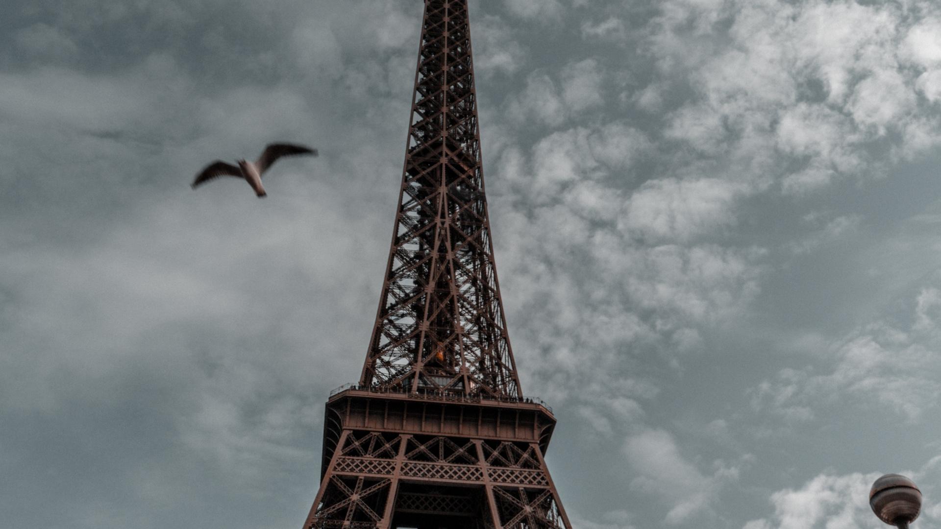 Eiffel Tower Hd Wallpapers 1080p - Eiffel Tower , HD Wallpaper & Backgrounds