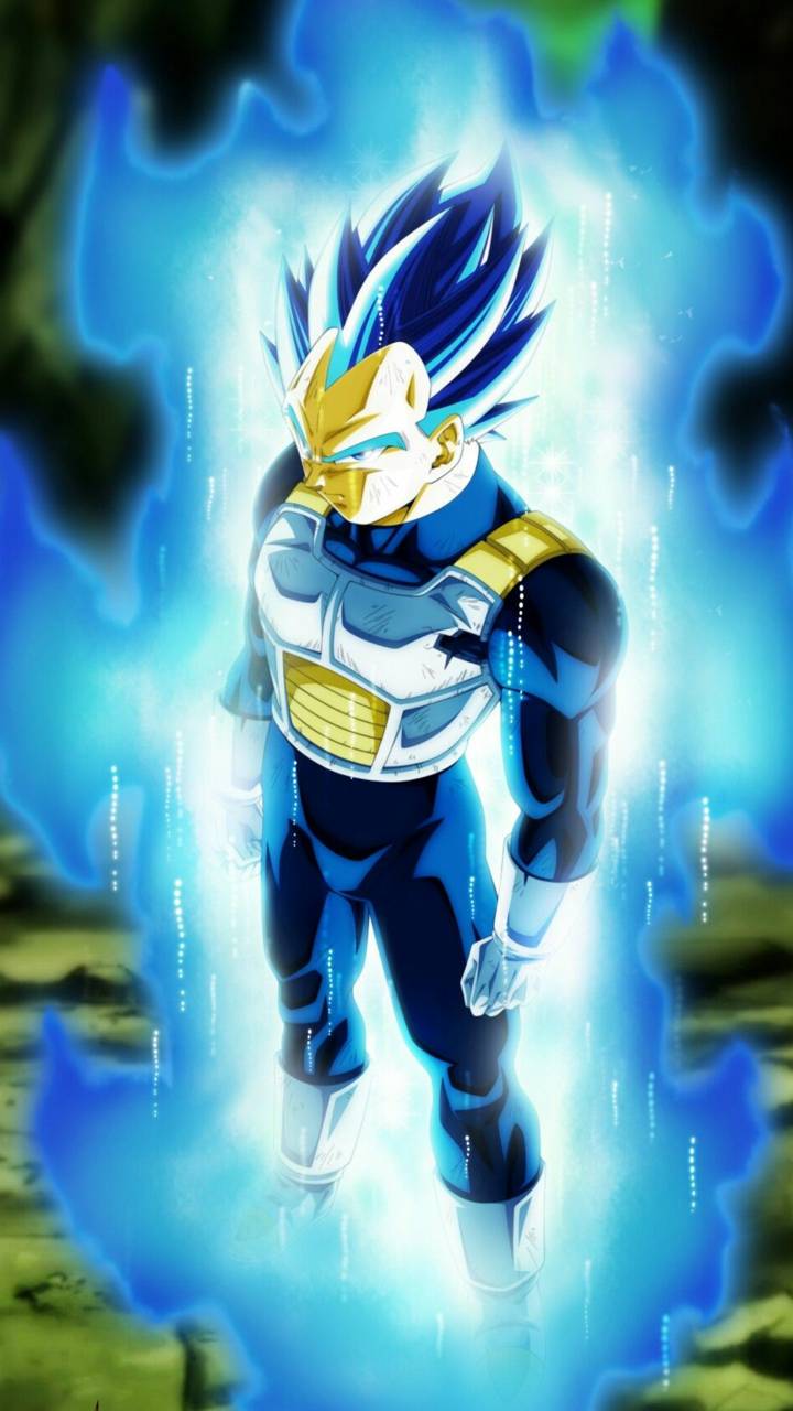 Vegeta Royal Blue Wallpaper By Shadowtheripper - Vegeta Super Saiyan Blue Evolution , HD Wallpaper & Backgrounds