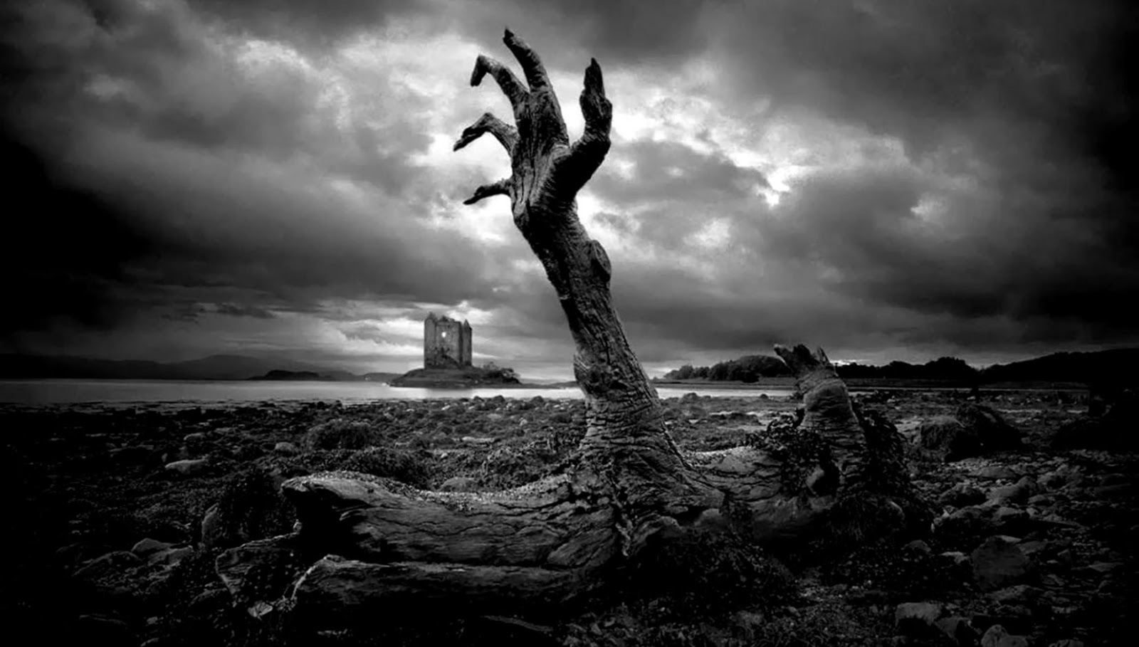 Nature Black White Zombie Hand Wallpaper 1 Raymond Nature Black