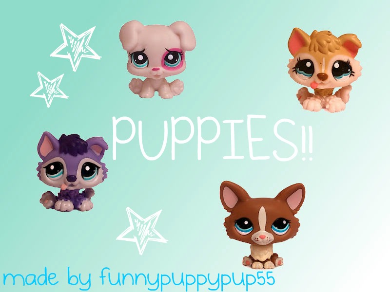 Here Is A Background For Any Cat Loving Lps Loving - Cartoon , HD Wallpaper & Backgrounds