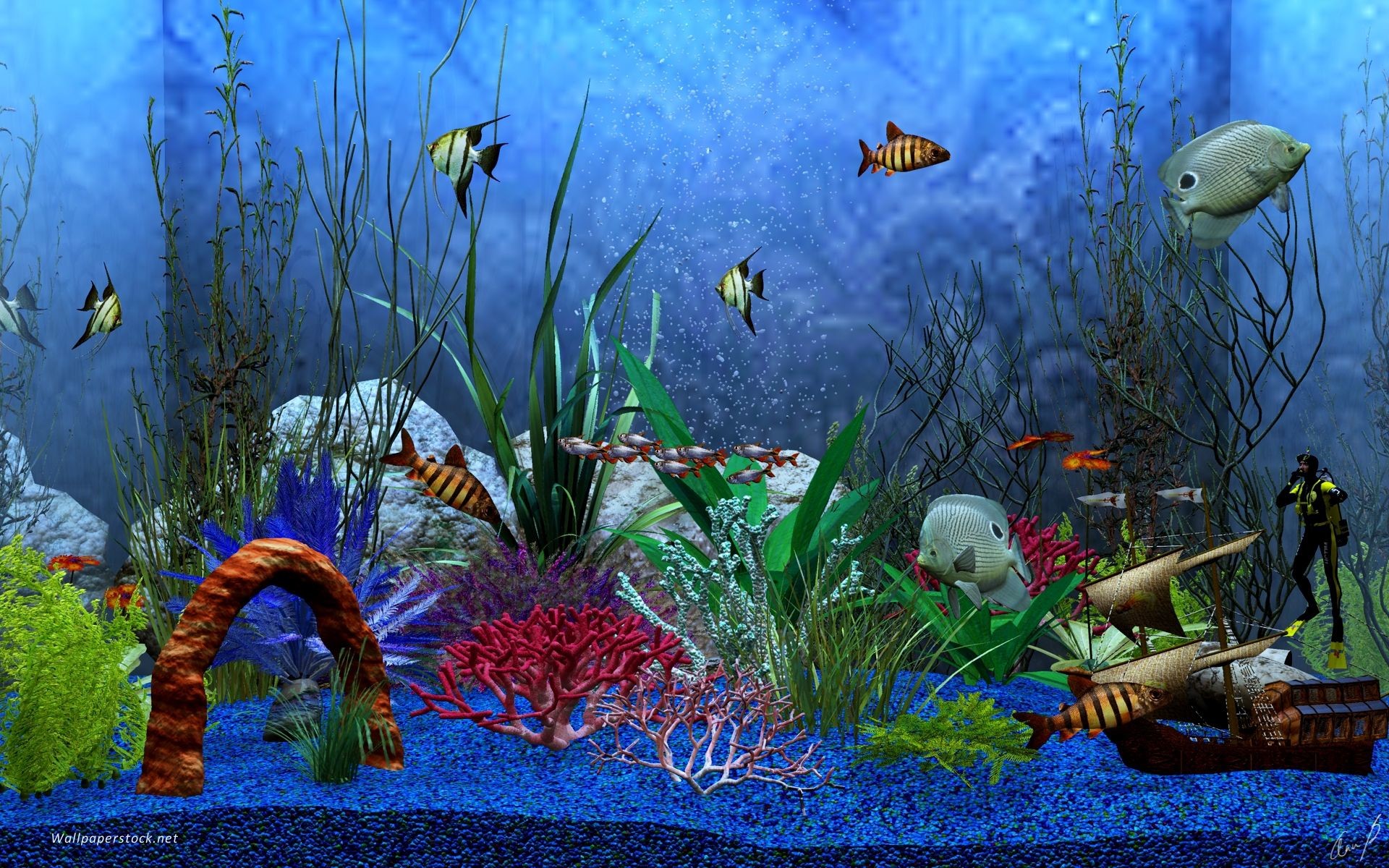 35 Download Wallpaper Bergerak Untuk Hp Android Terbaru - Aquarium View , HD Wallpaper & Backgrounds