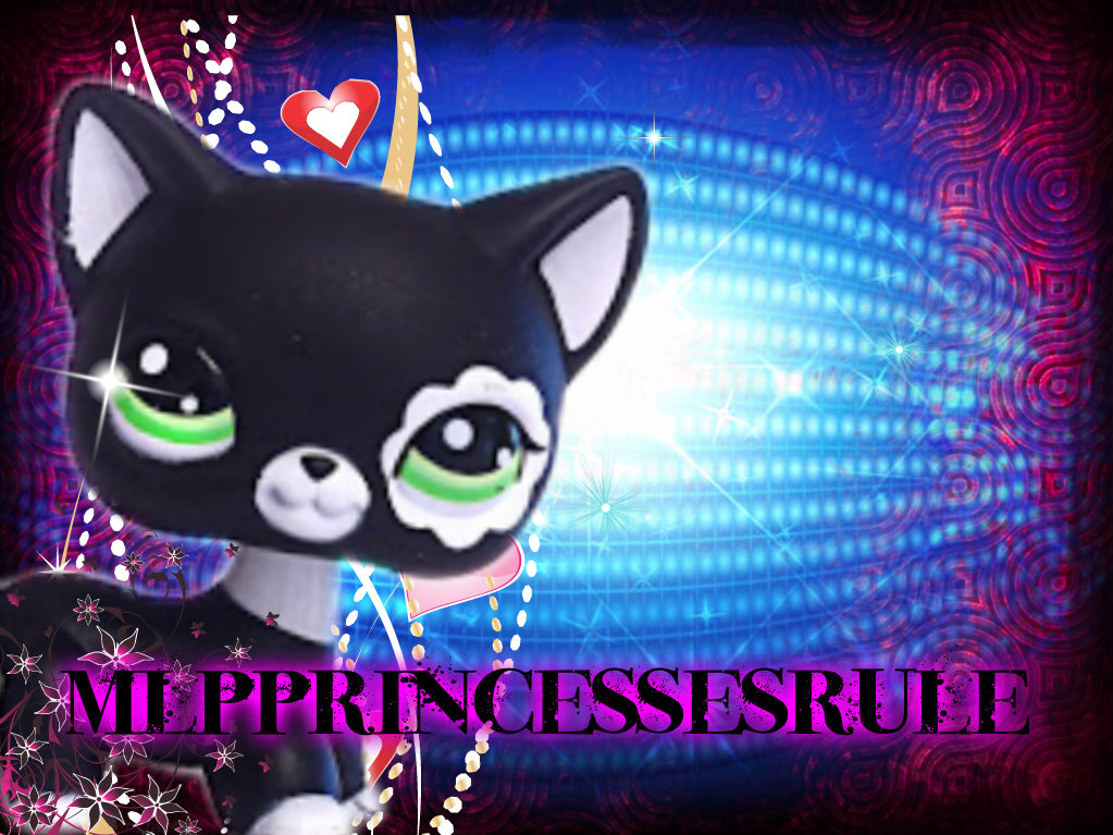 Littlest Pet Shop Images Look What Pure Boredom Can - Black Cat , HD Wallpaper & Backgrounds