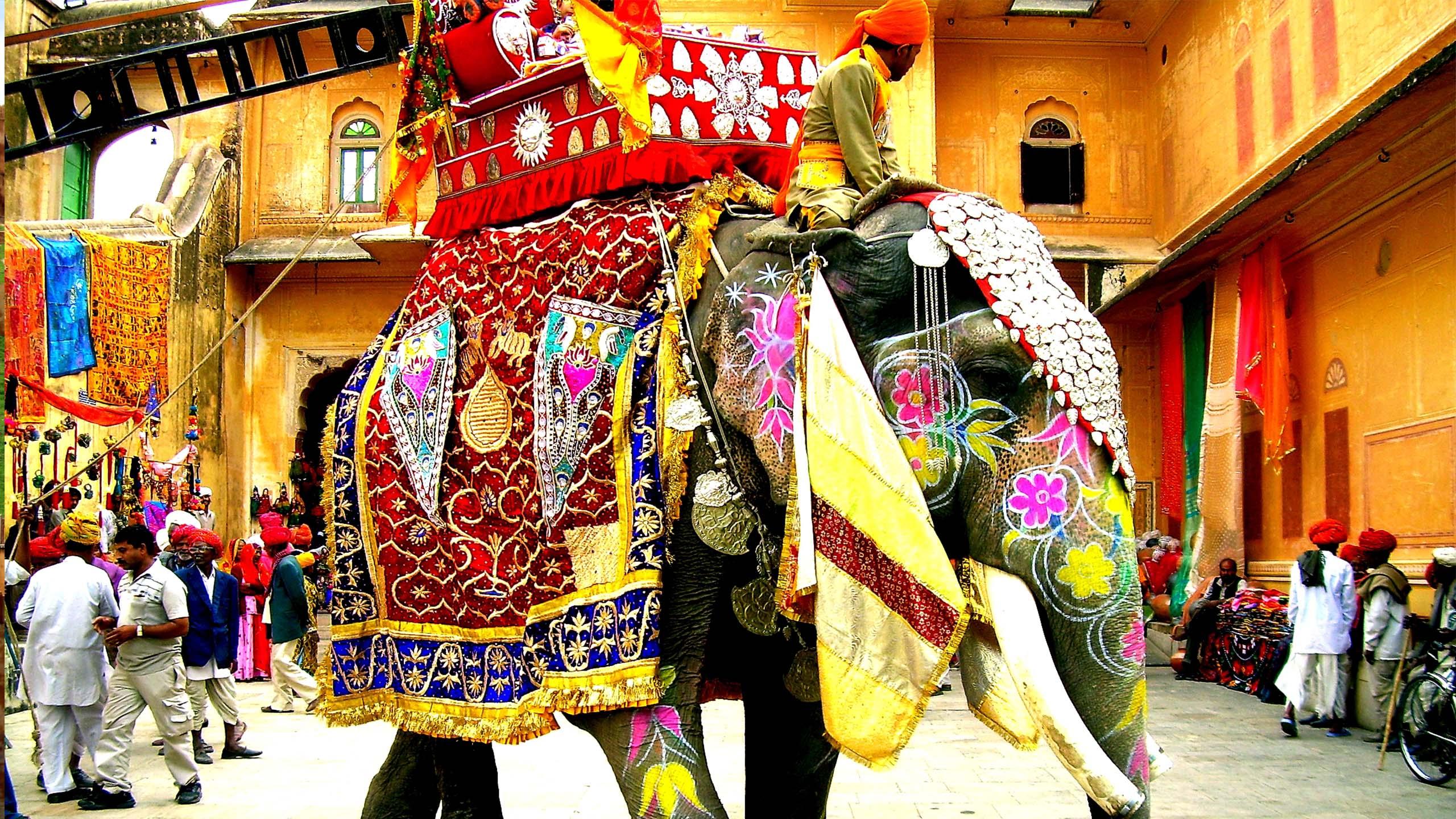 Rajasthani Culture Wallpaper Hd - Indian Elephant Dressed Up , HD Wallpaper & Backgrounds