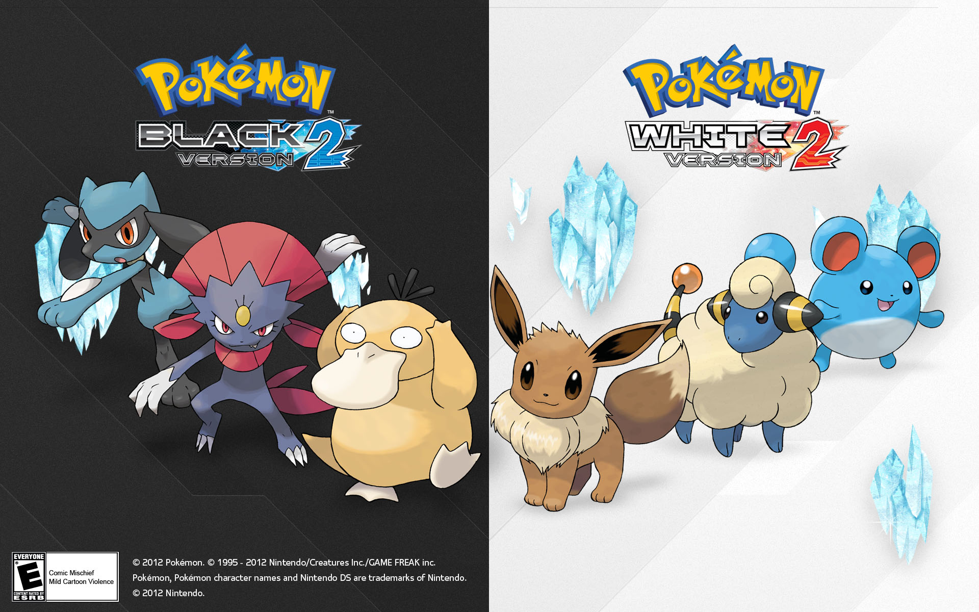Pokémon Black/white Version 2 , HD Wallpaper & Backgrounds