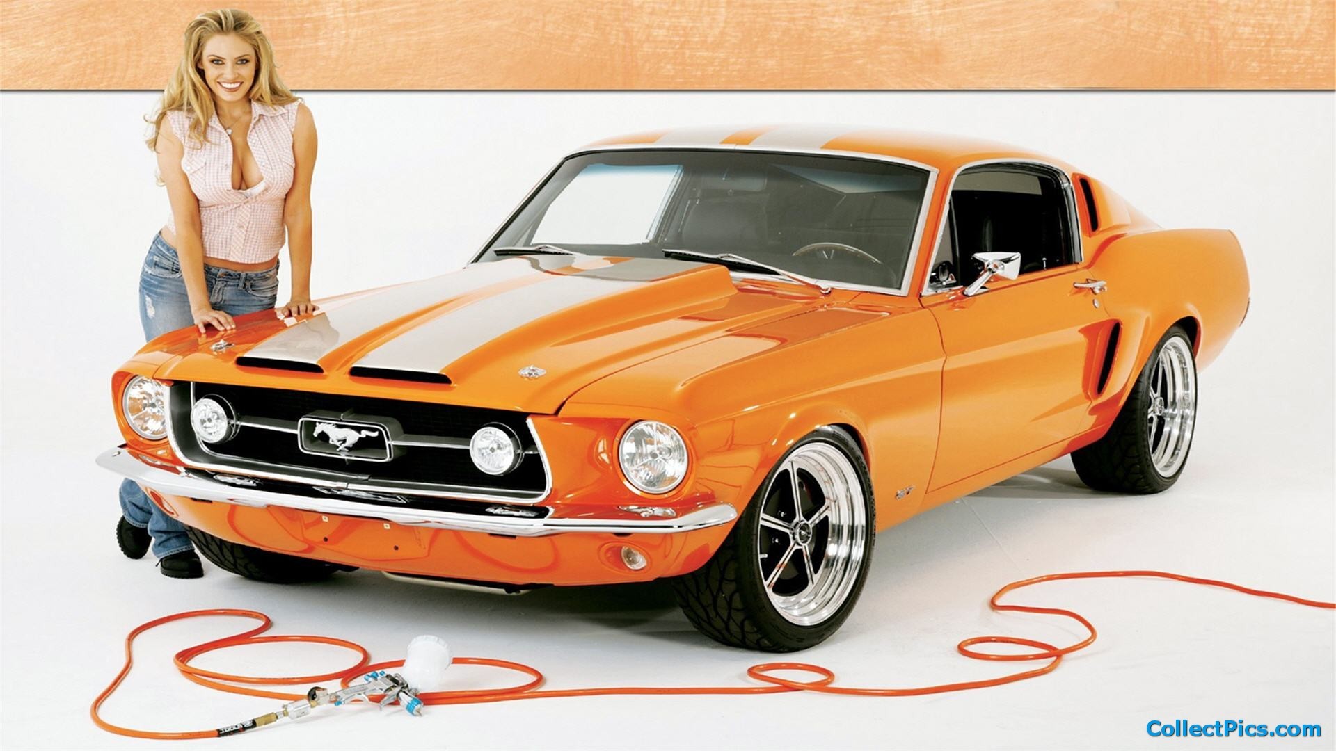 11 Muscle Cars Wallpaper Girls Girl Wallpapers Cars - Hot American Muscle Cars , HD Wallpaper & Backgrounds