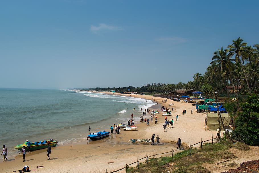 Goa, India, Candolim Beach, Palm, Sea, Jetski, Water, , HD Wallpaper & Backgrounds