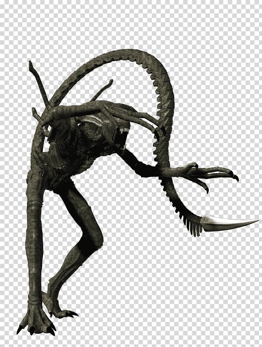 Alien Velociraptor Adobe Shop Shoot Graphy, Alien Xenomorph, - Alien Xenomorph Png Gif , HD Wallpaper & Backgrounds