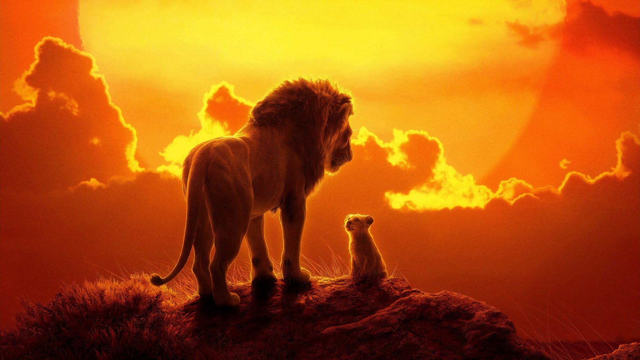 The Lion King - Mufasa And Simba 2019 , HD Wallpaper & Backgrounds