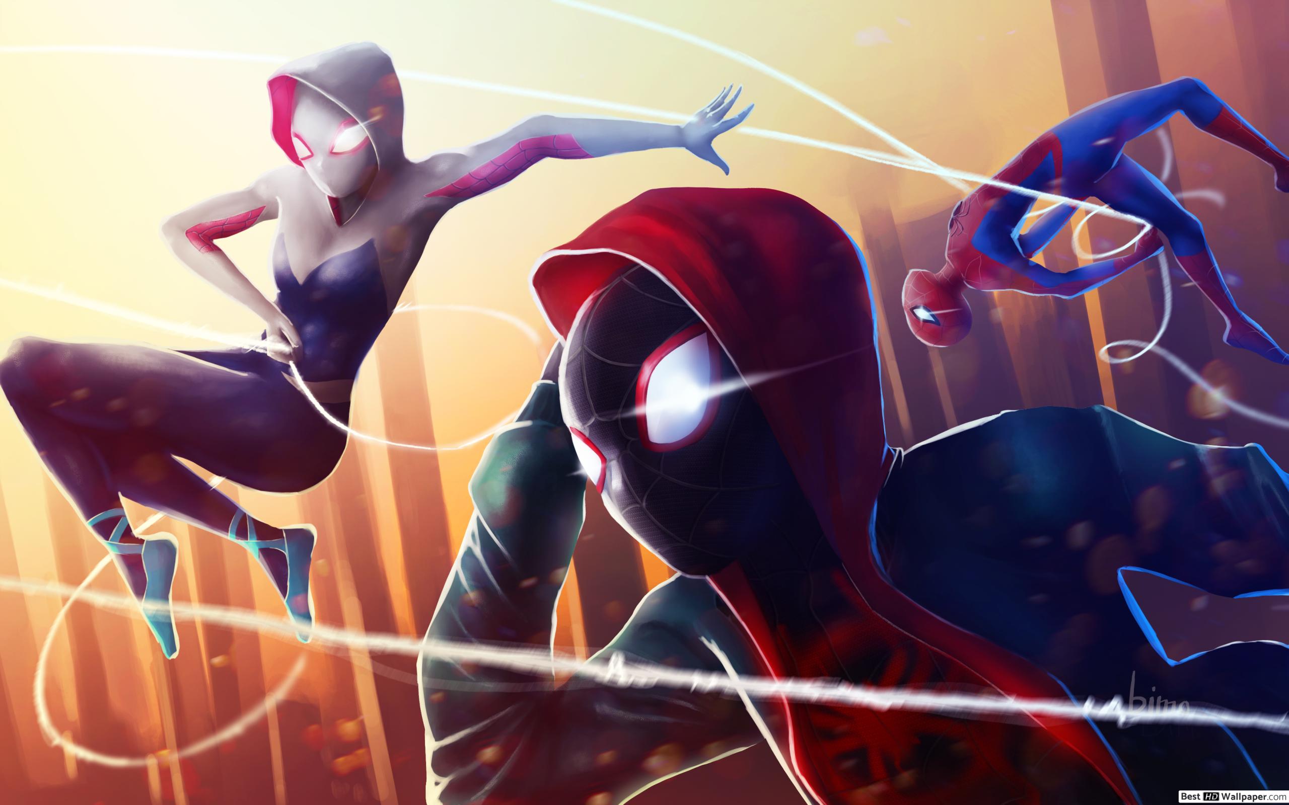 Miles Morales Wallpaper - Spider Gwen And Miles Morales , HD Wallpaper & Backgrounds