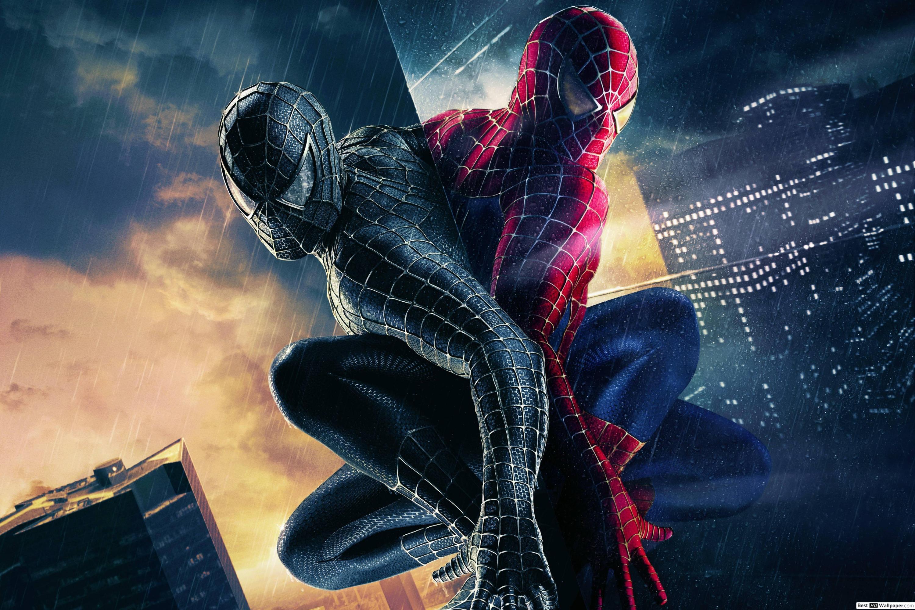Spider Man 3 Background , HD Wallpaper & Backgrounds
