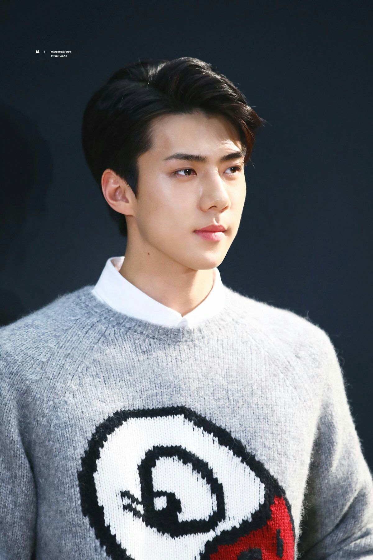 Oh Sehun Wallpaper - Sehun Moncler , HD Wallpaper & Backgrounds