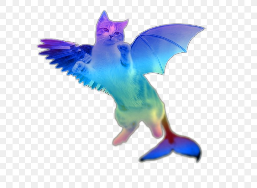 Flying Cat No Background , HD Wallpaper & Backgrounds