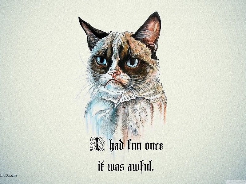 Grumpy Cat Wallpaper - Simple Quotes Of Cats , HD Wallpaper & Backgrounds