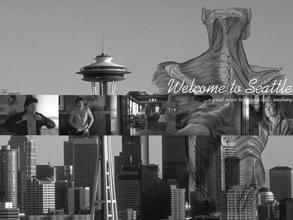 Seattle , HD Wallpaper & Backgrounds