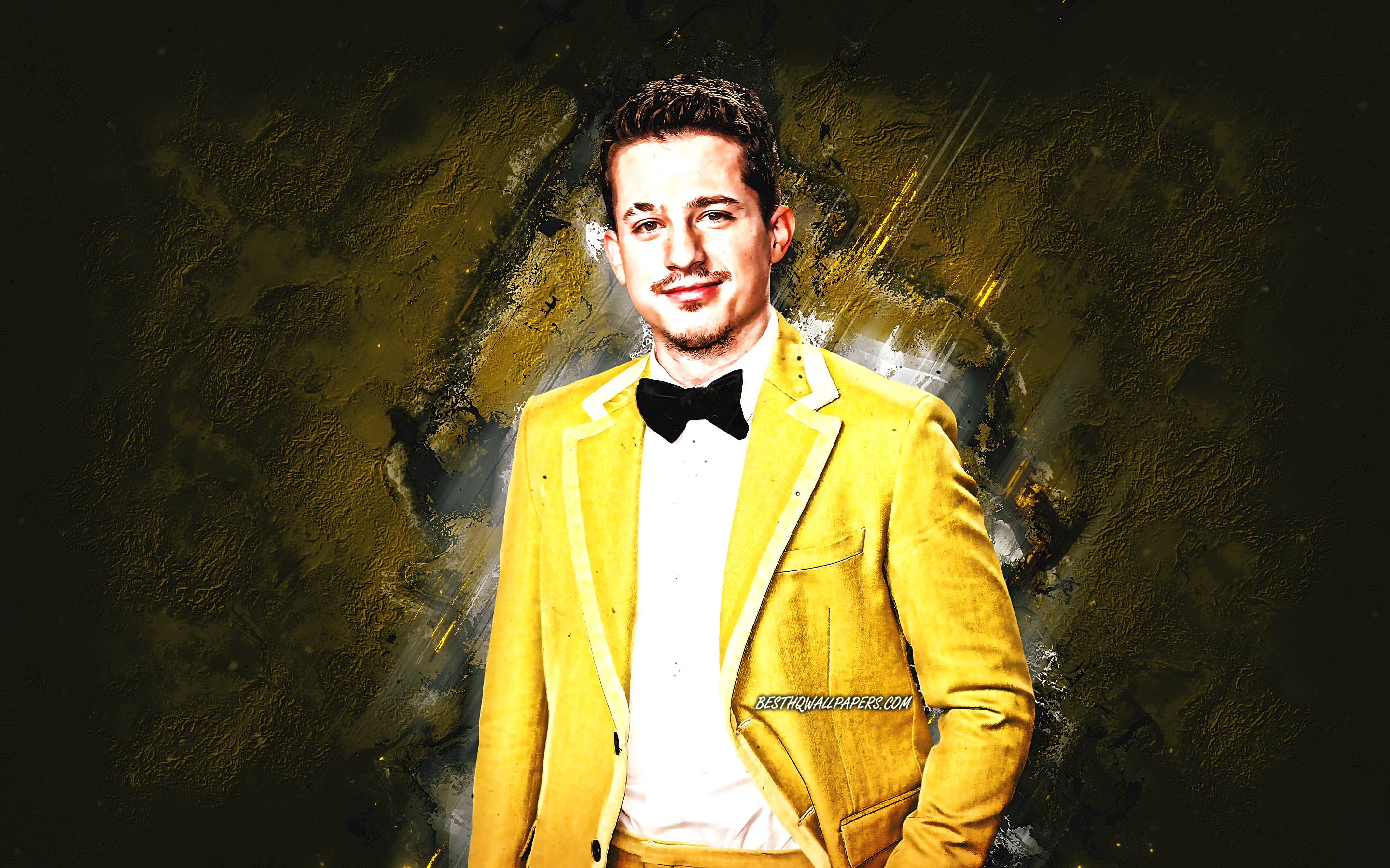 Charlie Puth, American Singer, Portrait, Yellow Stone , HD Wallpaper & Backgrounds