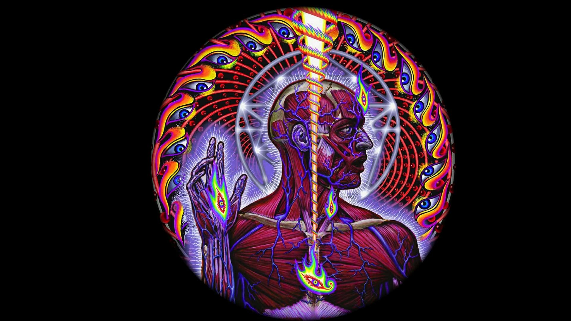 Alex Grey Wallpaper New , HD Wallpaper & Backgrounds