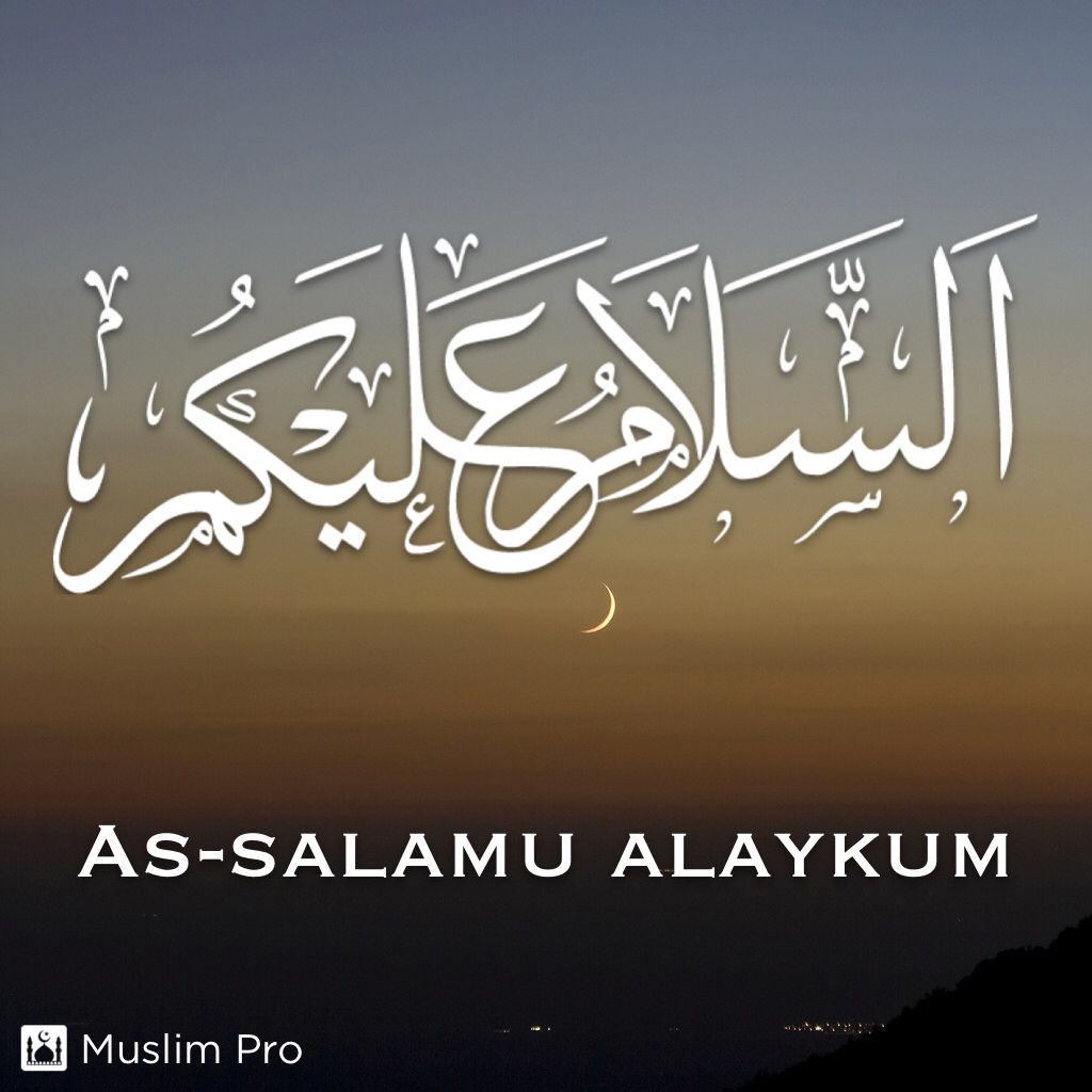 Assalamualaikum Aslam O Alikum , HD Wallpaper & Backgrounds