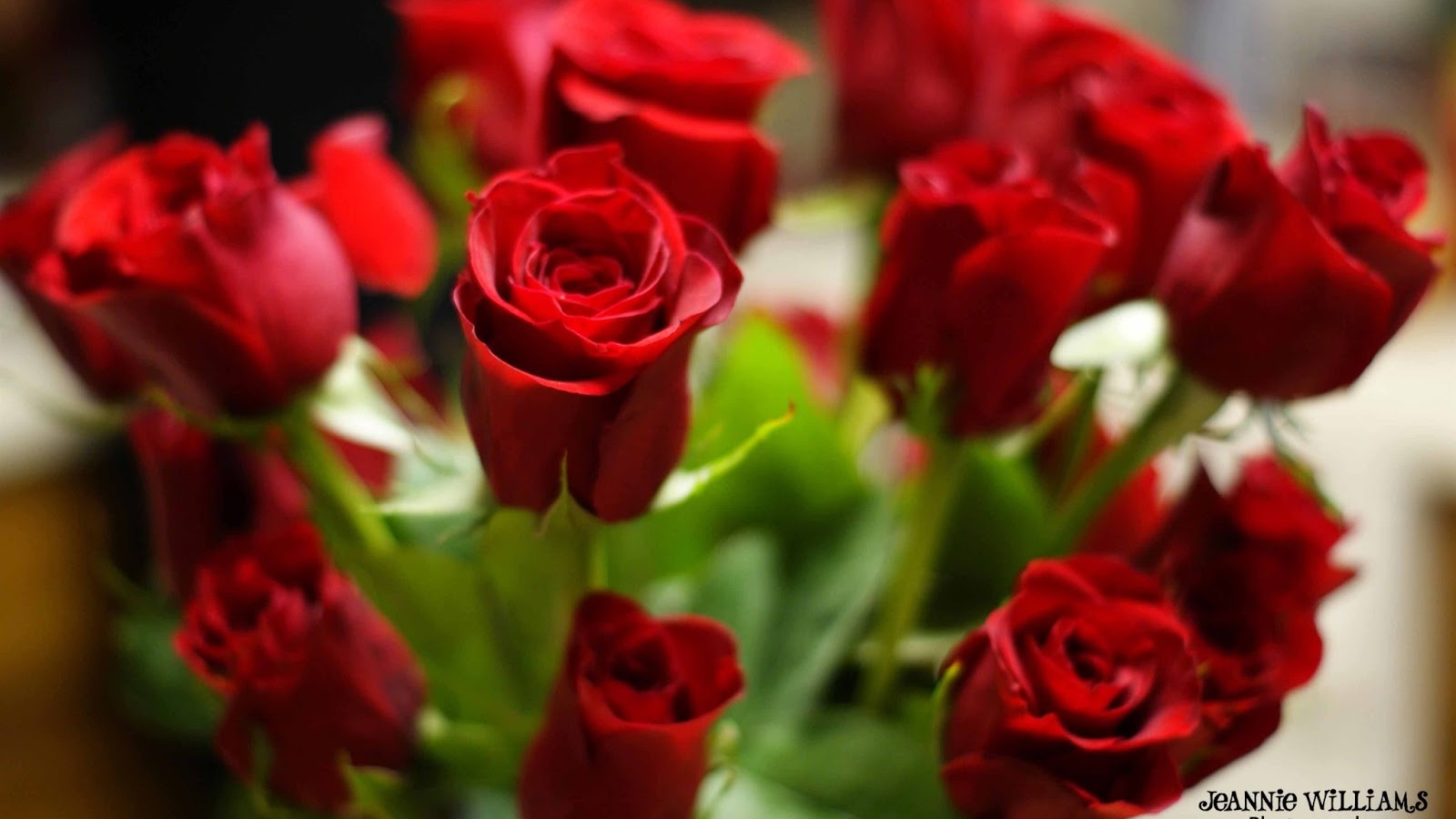 Happy Rose Day Hd Wallpapers , HD Wallpaper & Backgrounds