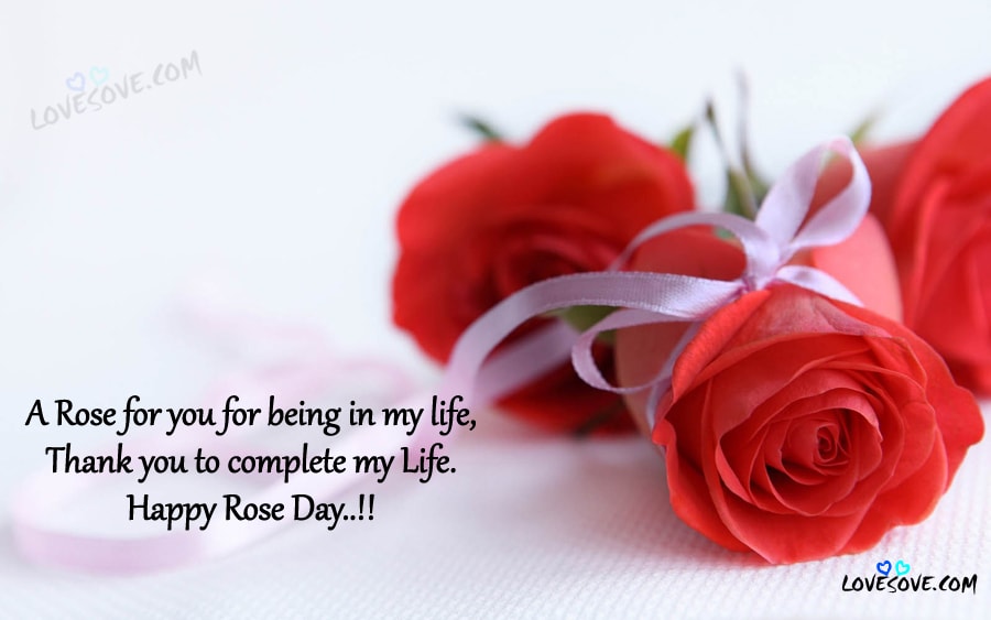 A Rose For You For Being In My Life Thank You To Complete - Rose Day Quotes For My Love , HD Wallpaper & Backgrounds