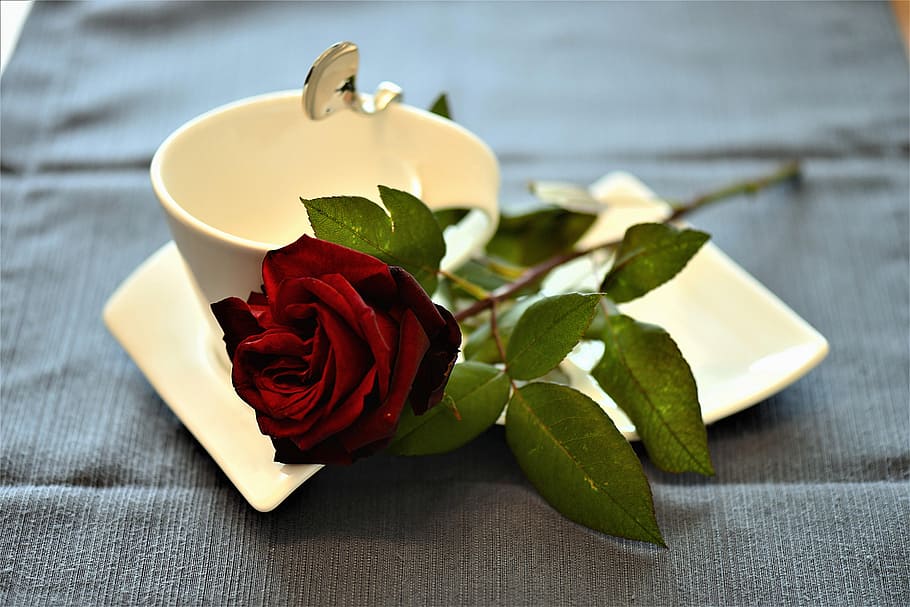 Close Shot Of Red Rose, Coffee Cup, Cover, Romantic, - Romantic Good Morning Red Rose , HD Wallpaper & Backgrounds