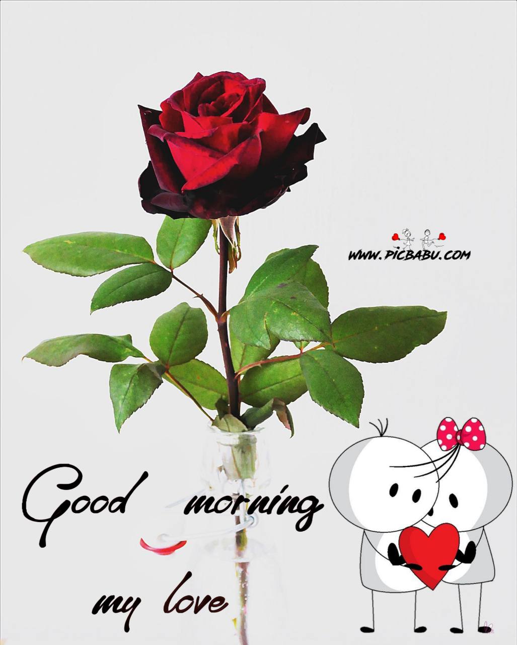 Good Morning Red Rose Hd Wallpaper - Картинки Розы Красные На Аву , HD Wallpaper & Backgrounds
