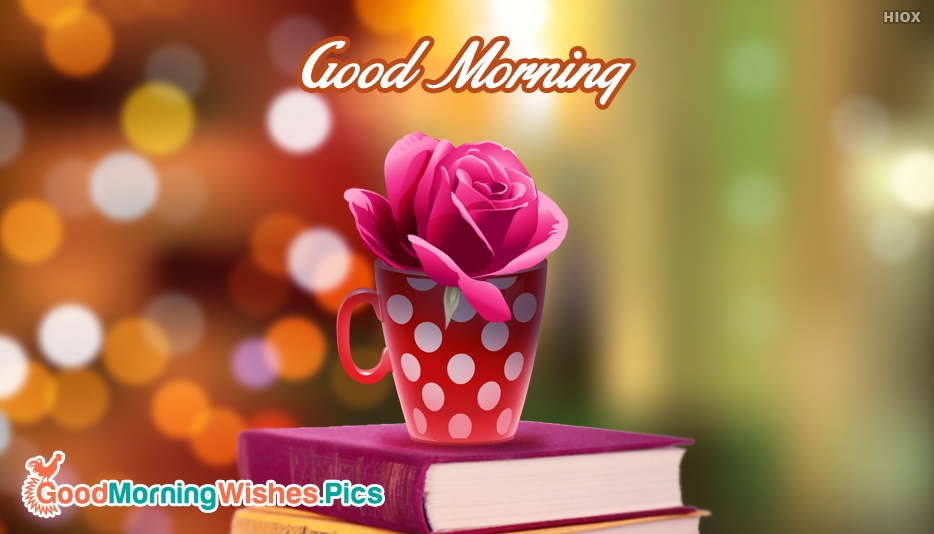 Good Morning Pink Rose Hd Wallpaper - Garden Roses , HD Wallpaper & Backgrounds
