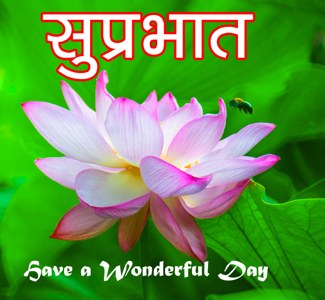 Suprabhat Wallpaper Free Download - Sai Baba Good Morning , HD Wallpaper & Backgrounds
