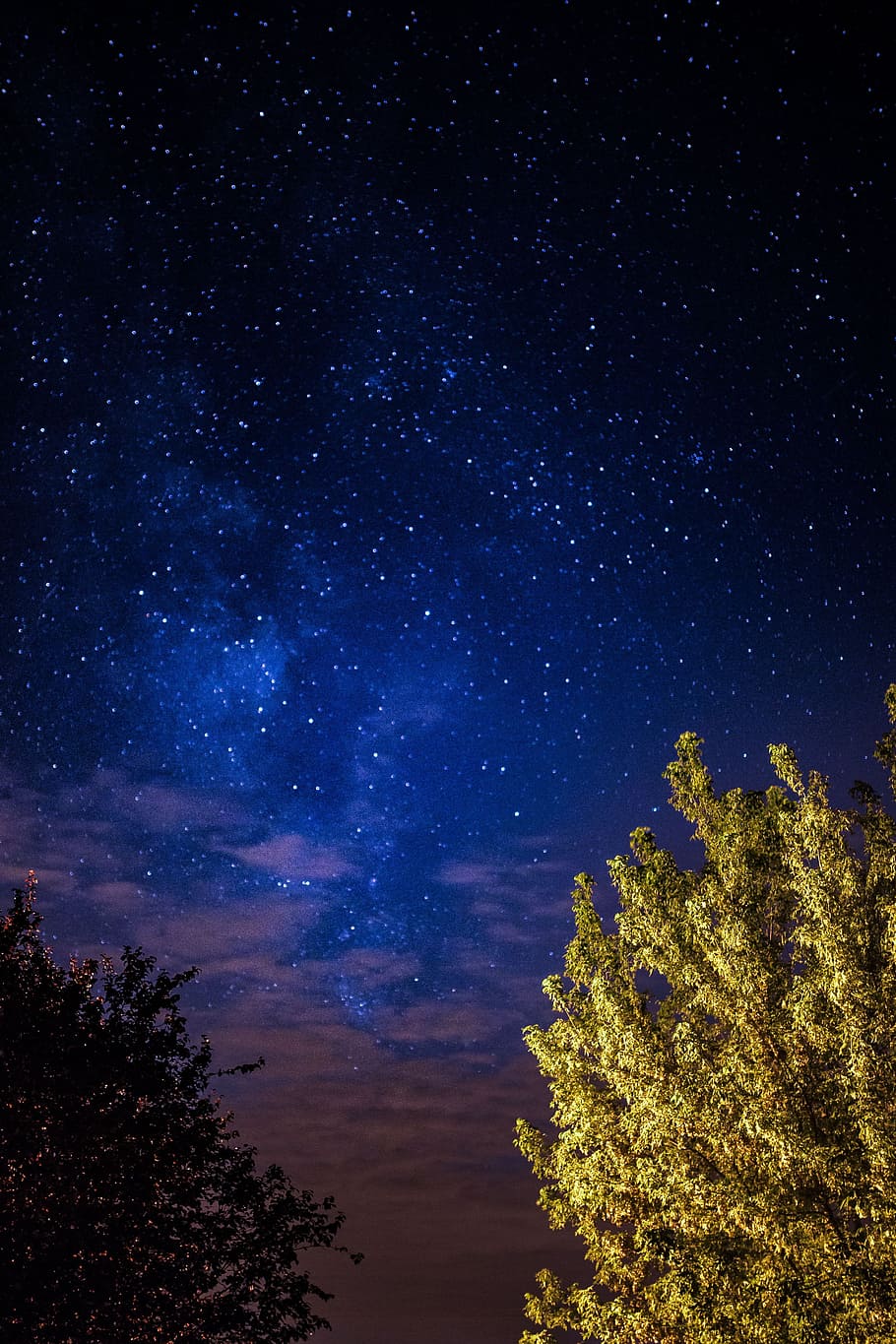 A Trees Under The Starry Sky, Nature, Outdoors, Night, - Gambar Langit Malam Penuh Bintang , HD Wallpaper & Backgrounds