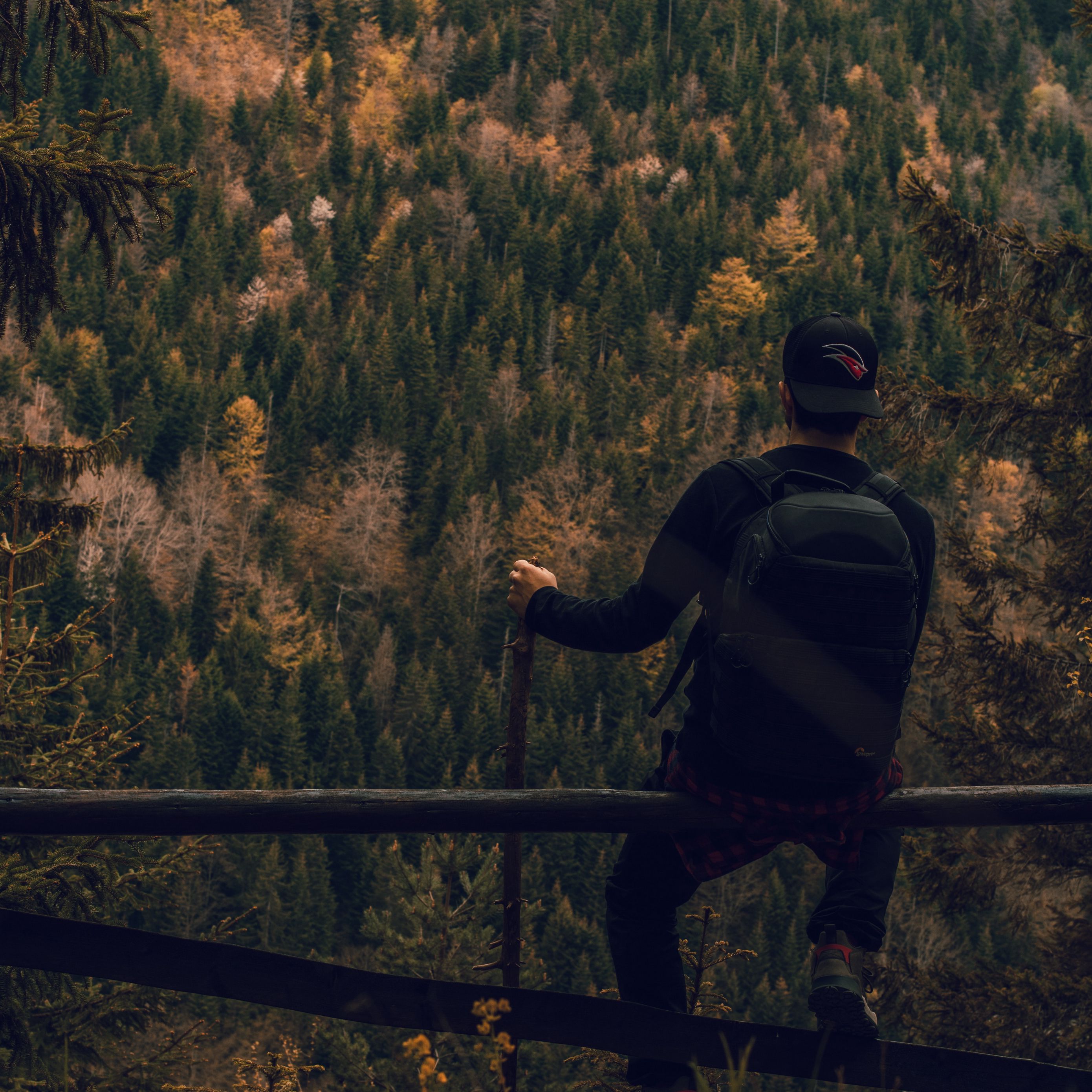 About Hiking