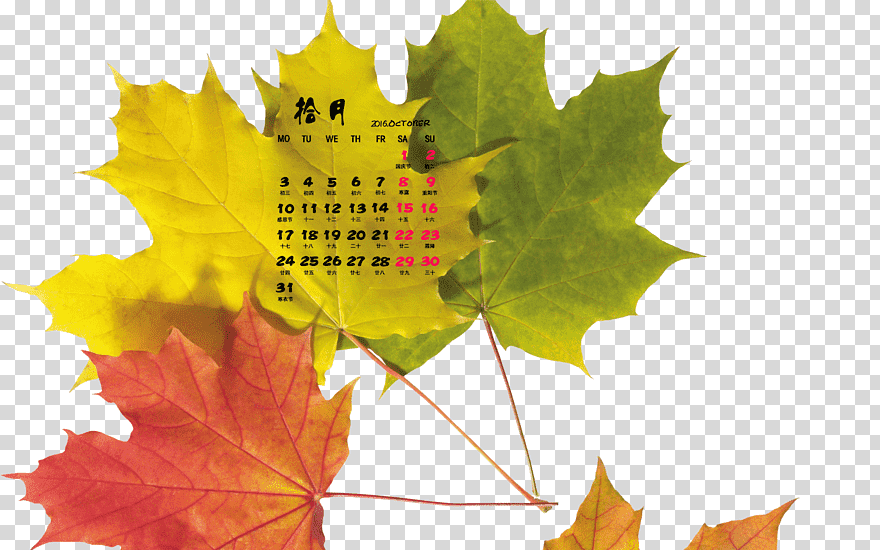 Autumn Maple Leaf Desktop, Autumn, Image File Formats, - Mlp Kiss Base , HD Wallpaper & Backgrounds