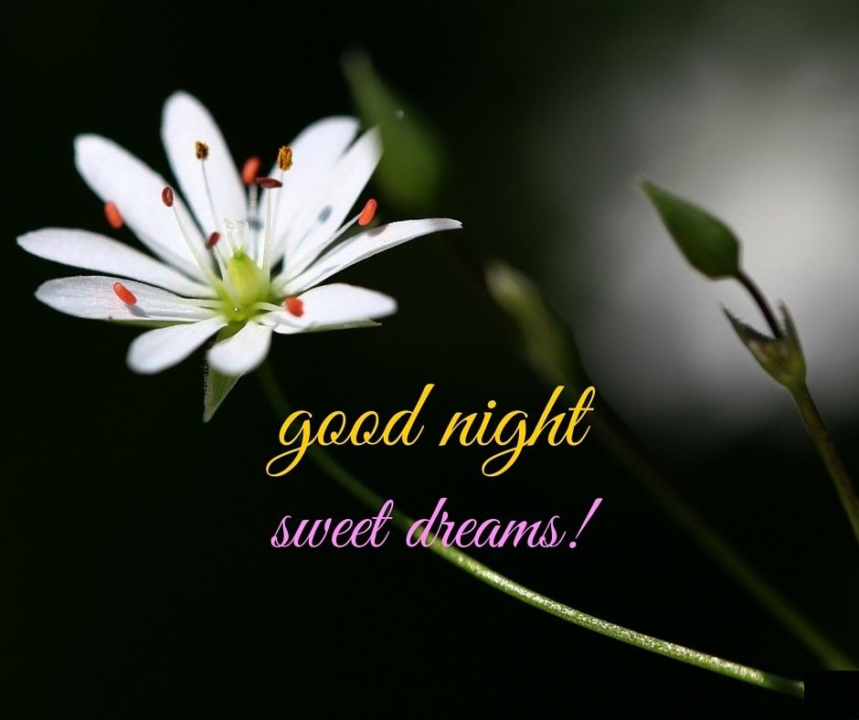 Good Night Images Downloads , HD Wallpaper & Backgrounds